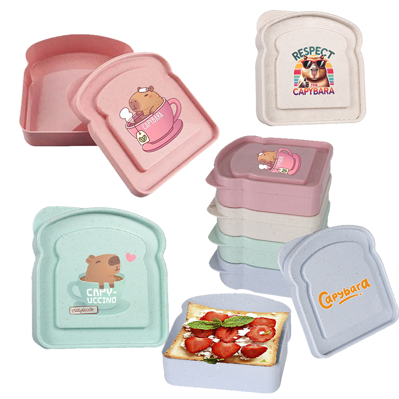 Capybara Sandwich-Aufbewahrung – Food Storage With Dividers Bewertung und Preis