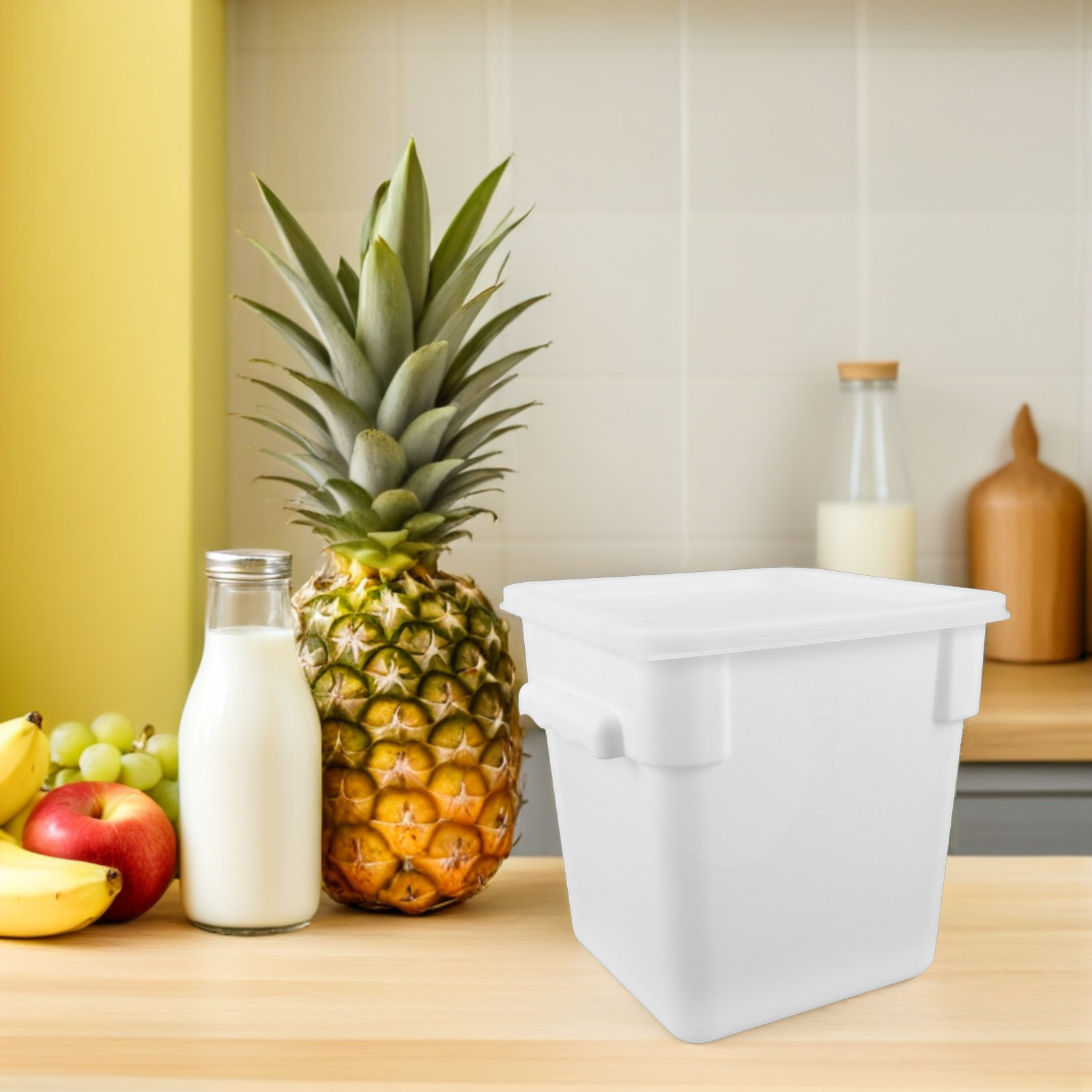 Kommerzieller Lebensmittelbehä – Food Storage Containers Bewertung und Preis